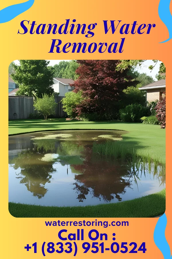 Standing Water Removal in Oxville, IL